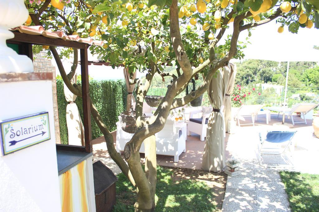 B&B Villa Cristina Анакапри Екстериор снимка